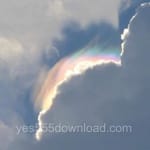 Avatar of Zainab Shah